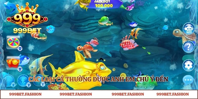 Các loại cá thường được anh em chú ý đến trong không gian đại dương